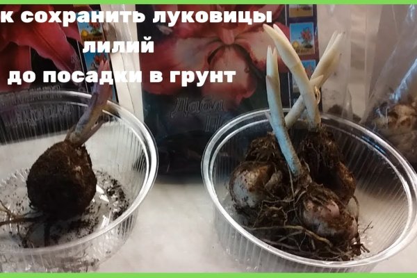 Где найти ссылку на кракен