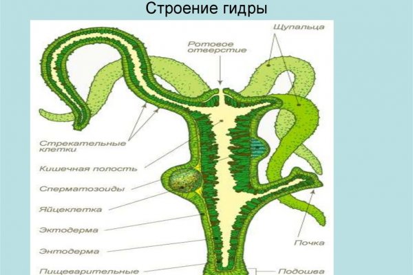 Кракен сайт маркетплейс